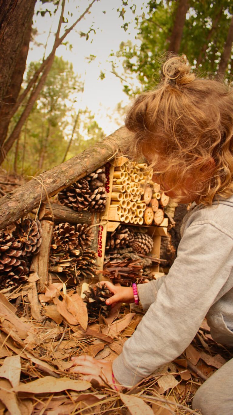 Forest School